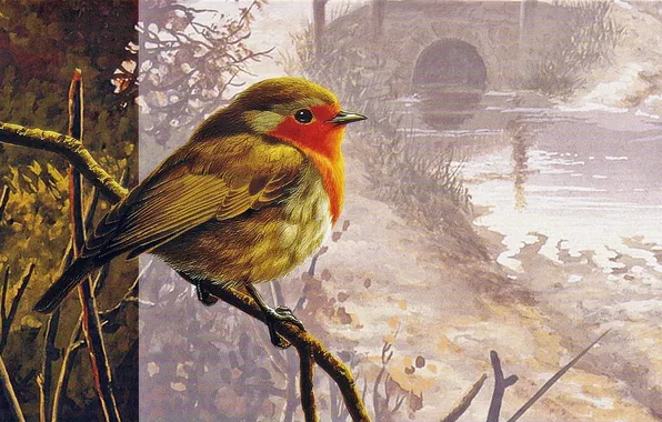 Landscape, bridge, bird, texture