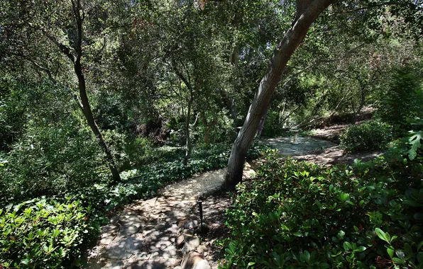 Greens, trees, Park, CA, track, USA, the bushes, San Juan Capistrano