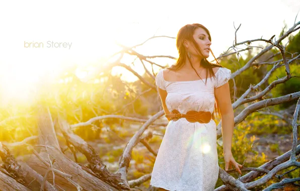 Picture girl, the sun, branches, photographer, girl, Taylor, photography, photographer