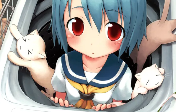 Machine, hair, blue, kittens, Girl, three, sailor, washing