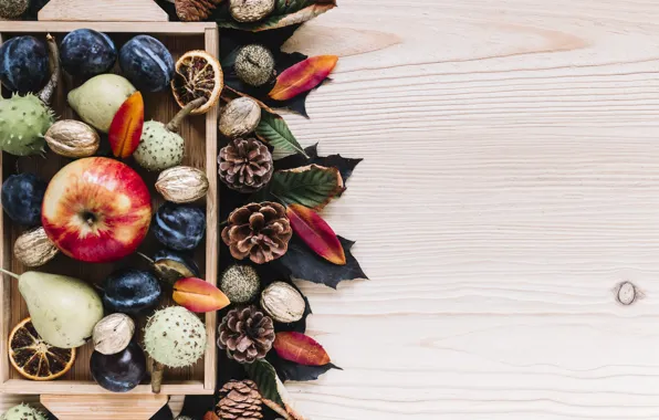 Picture autumn, leaves, background, tree, apples, colorful, fruit, nuts