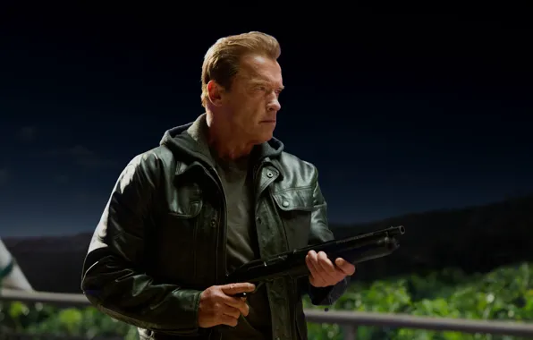 Action, Gun, Darkness, Night, Wallpaper, Weapon, Arnold Schwarzenegger, Movie