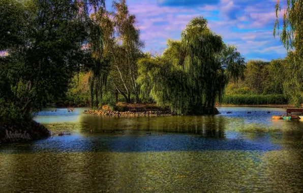 Trees, lake, Park, boat, island, Hungary, Gyongyos