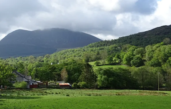 Picture Greens, The sky, Nature, Field, Mountains, Fog, Panorama, Nature