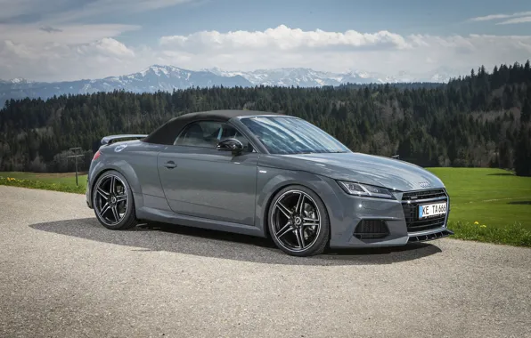 Picture Roadster, Design, Grey, ABBOT, Audi TT