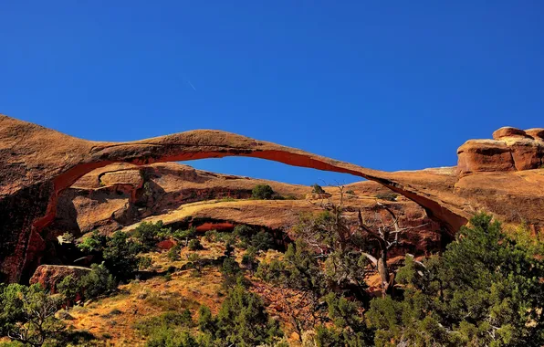 The sky, rocks, arch, USA, the bushes, Arches National Park, uta