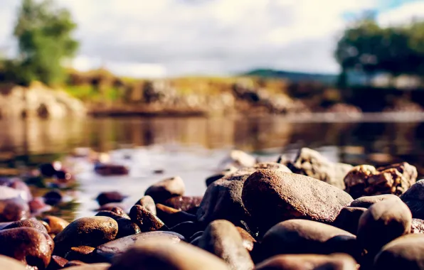 Picture macro, nature, stones, blur, bokeh