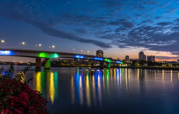 The sky, clouds, bridge, lights, river, home, the evening, lights