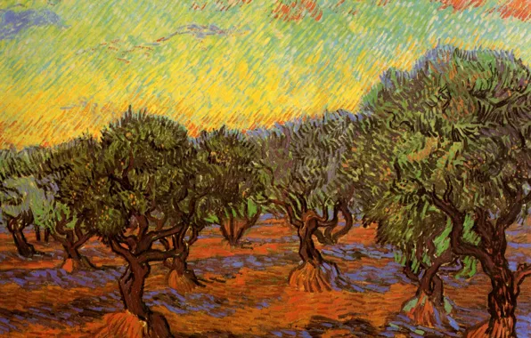 Picture trees, Vincent van Gogh, Orange Sky, Olive Grove