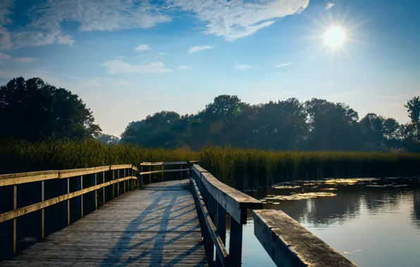 Landscape, bridge, lake