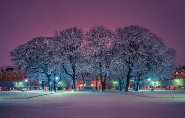 Winter, snow, trees, France, Paris, area, monument, Paris