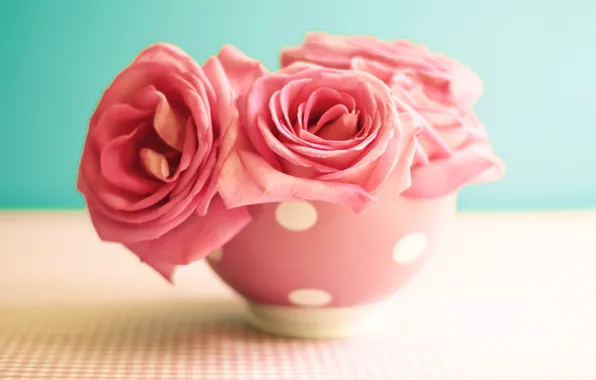 Flowers, table, roses, mug, vintage, pink, vintage, flowers
