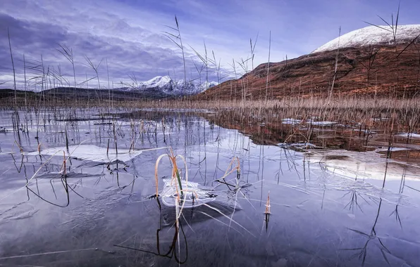 Picture ice, winter, snow, mountains, lake, reed