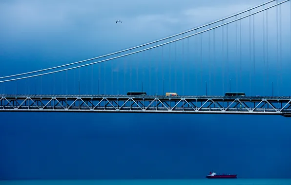 Machine, the sky, landscape, bridge, river, bird, ship