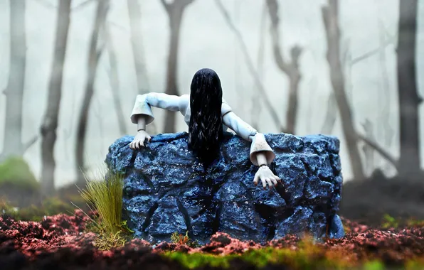 Picture forest, fog, hair, toys, well, The Ring, Offering Yamamura