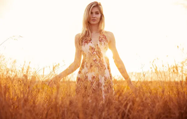 Field, grass, the sun, nature, dress, hairstyle, blonde, Laura