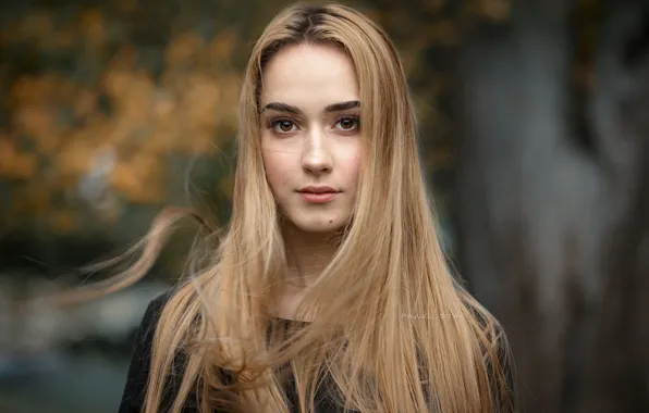 Look, background, model, makeup, hairstyle, blonde, beauty, nature