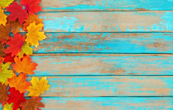 Autumn, leaves, background, colorful, wood, background, autumn, leaves