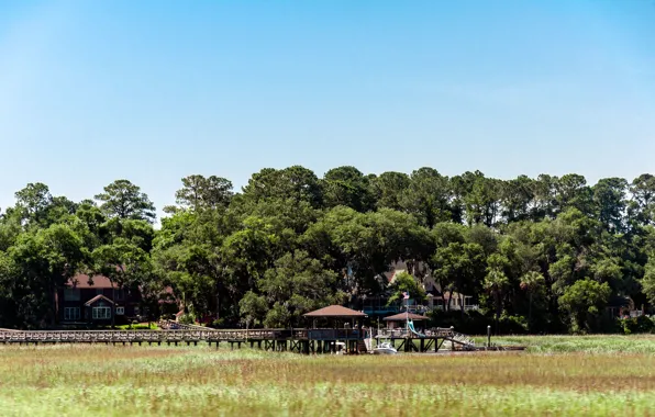 House, island, swamp, house, grass, georgia, USA, water