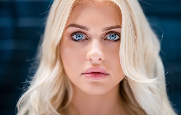 Look, close-up, face, model, portrait, makeup, hairstyle, blonde