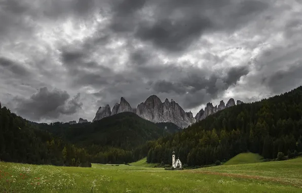 Picture field, the sky, grass, clouds, trees, flowers, mountains, green