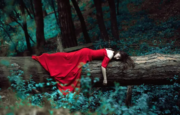 Picture forest, girl, trees