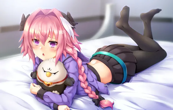 Girl, Toy, Lies, Fate / Grand Order, The destiny of a great campaign, Sullen bird
