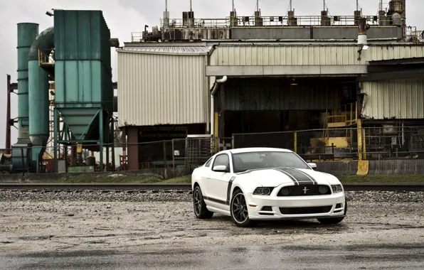 Picture white, plant, mustang, the fence, white, ford, Ford Mustang, boss 302