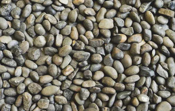 Beach, pebbles, stones, background, white, white, beach, texture