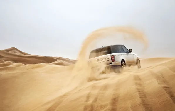 Picture sand, Land Rover, Range Rover, rear view, Land Rover, Range Rover