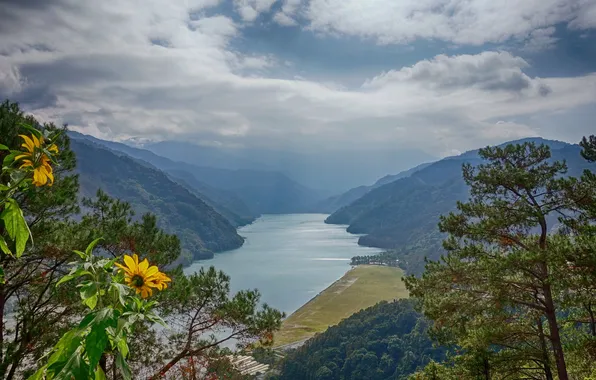 Forest, river, landscape, nature, mountains