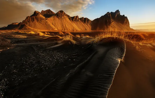 Picture Iceland, Cape, Stokksnes, black sand, Have stoknes