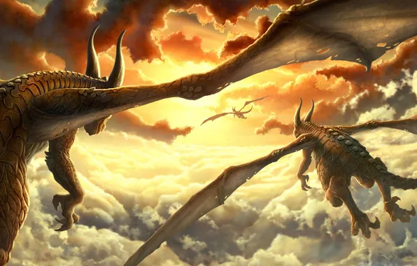 Picture the sun, clouds, sunset, wings, dragons