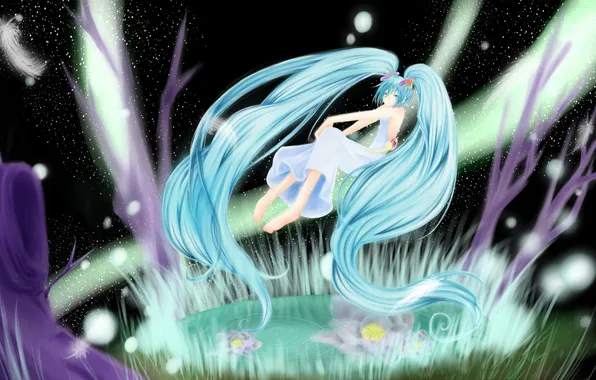 Picture water, girl, flowers, lake, feathers, vocaloid, hatsune miku, Vocaloid