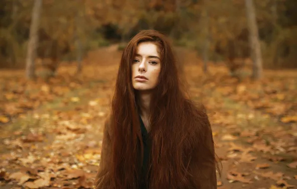 Picture girl, redhead, long hair, bokeh, melancholy, autumn forest