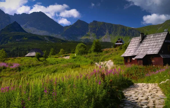 Flowers, mountains, stones, houses, Tatras, Ivan-tea