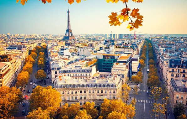 Picture autumn, the sky, leaves, the sun, trees, branches, France, Paris