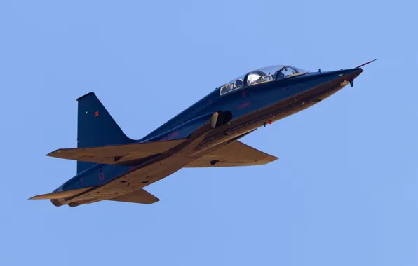 Picture military jet, high speed pass, t-38 talon, t-38