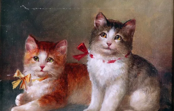 Picture Cats, Picture, Two, Austrian artist, Josef Heimerl, Josef Heimerl