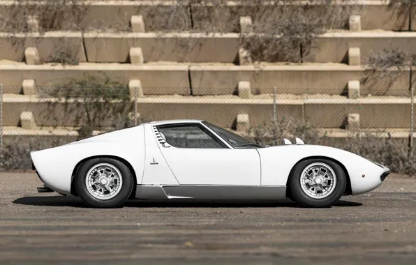 Auto, Lamborghini, White, Machine, 1971, Car, Supercar, Side