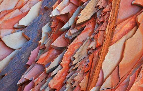 Picture stones, rocks, Australia, layer, National Park Karijini