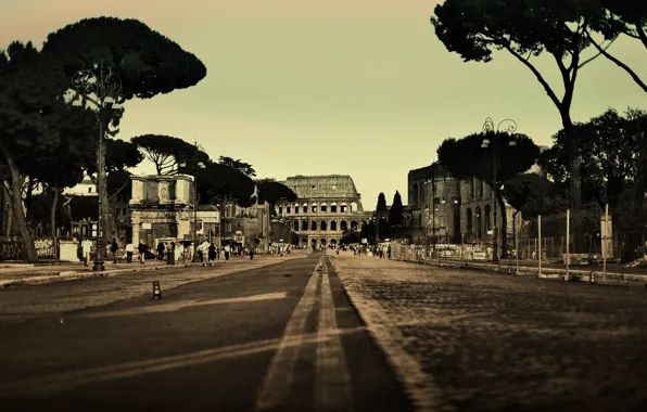 Road, trees, the city, people, street, Colosseum, Italy, Rome