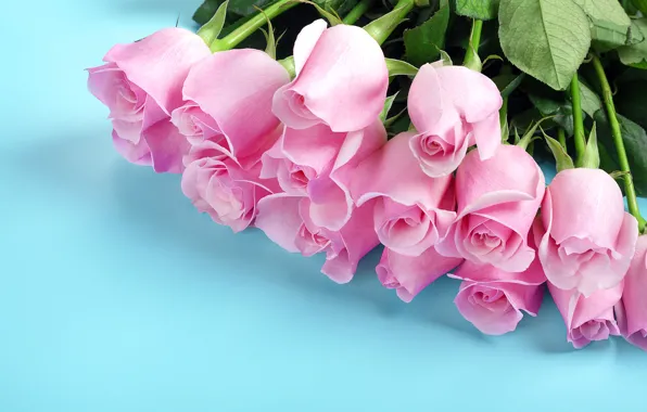 Picture flowers, roses, bouquet, pink buds