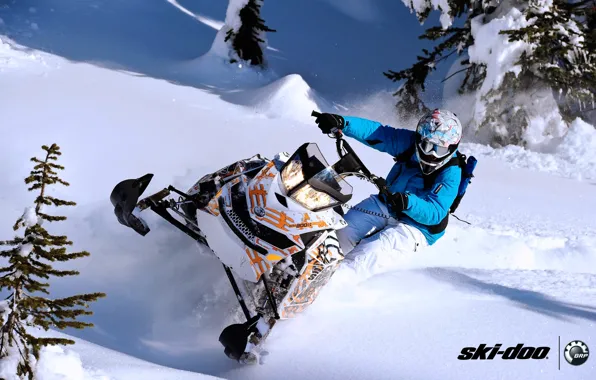 Picture snow, sport, sport, tree, snow, snowmobile, freeride, snowmobile