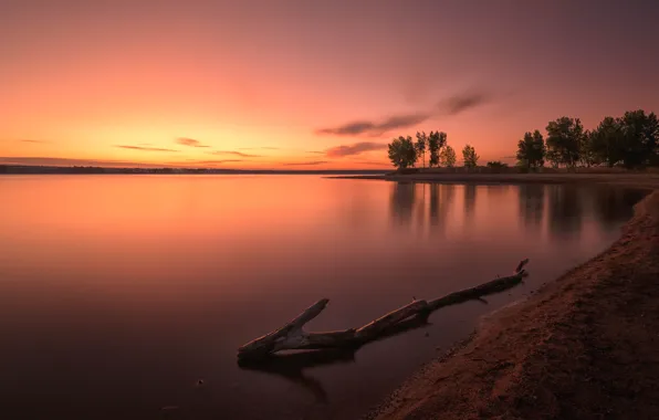 Picture the sky, sunset, shore, the evening, pond