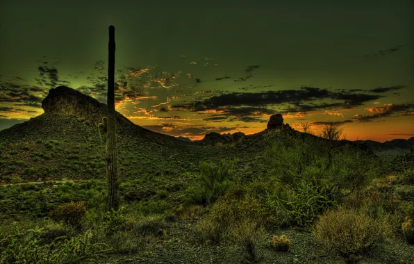 Sunset, mountains, desert, HDR, cactus, Mexico