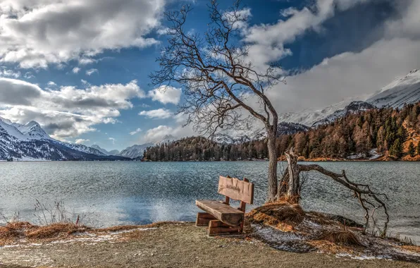 Nature, lake, bench