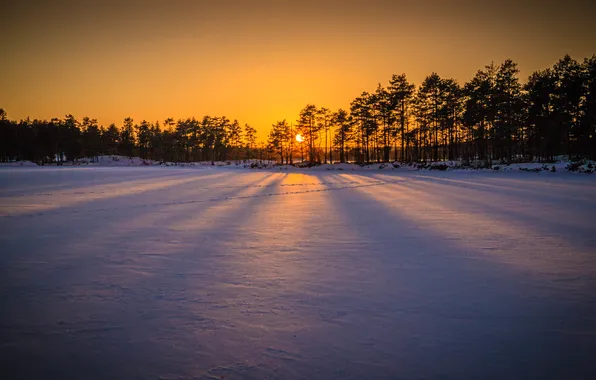 Snow, trees, sunset, shadow