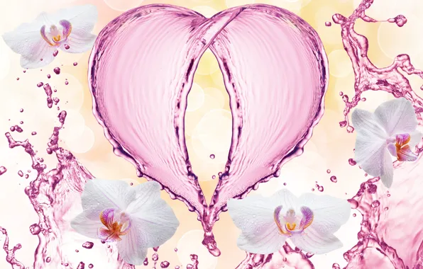 Water, drops, flowers, squirt, pattern, heart, orchids