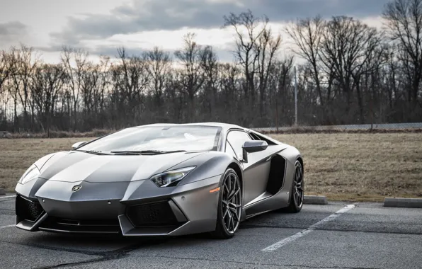 Lamborghini, parking, aventador, gray